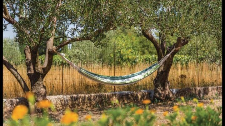 Olive Tree House With Jacuzzi, Wifi And 40M2 Pool Siritovci Exterior foto